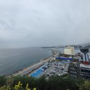 동해시-24 | 동해가볼만한곳 바람의 언덕 오션뷰 맛집 말똥도나스 동해 방문 후기