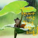 스마트폰으로 세상과 소통하기 이미지