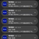 팡팡주머니