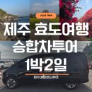 용줄다리기타일아트 | 제주도승합차투어 제주 효도여행 1박2일 추천