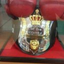 대한권투체육관 이미지