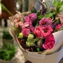 넝쿨 태양광발전소 이미지