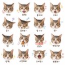 서방닭집 | 어버이 날 아버님 놀래키는 메누리