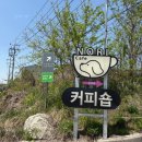 표시노리 이미지