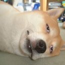 카리스마 이미지