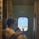 동구-22(대동천 | 강아지랑 KTX 부산 대전 당일치기 여행 대전에서 6시간 어글리 딜리셔스 리브스 커피 소제동