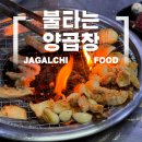 불타는 곱창 | 자갈치역 모든 메뉴가 맛있는, 불타는 양곱창 내돈내산
