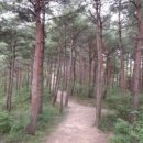 금마제일주유소 이미지