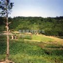 선봉농장 이미지