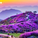 합천 이미지