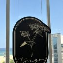 삼척해수욕장 카페 트리고삼척해변점