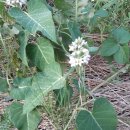 대천천2 이미지