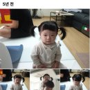 샘마루초등학교 이미지