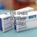 알약국 | 신년 다이어트 계획 | 새해다짐, 위고비 알약? 사기 조심(챗지피티 다이어트 상담, 식단&amp;운동 추천)