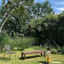 노리앤조이 이미지