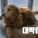 팔도세차장 이미지