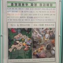 오늘 | 오늘수거 후기, 분리수거 안해서 너무 좋아요