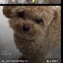 투게더승호 네이버블로그