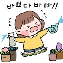 리틀플로라 이미지