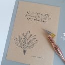 디자인 푸름 이미지
