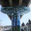 서부초등학교 사거리 이미지