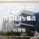 고양제비 이미지