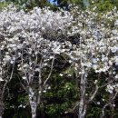 금련산청소년수련원 이미지