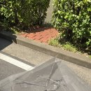 백송마을 상동자이 이미지