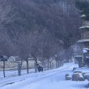 도봉산갈비정선점 이미지