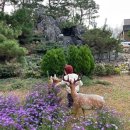 용아의원 | 오산 우먼필산부인과 출산 후기- 우당탕탕 띠용이 만나기_ 1부(출산 전)