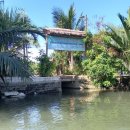 코코넛19 이미지