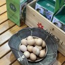 라파사우나 이미지