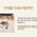 블루밍샵 이미지