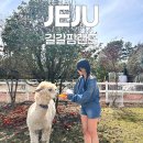 지영목장 이미지