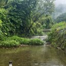 스테이구들 이미지