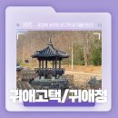 영천 귀애정 | 경북 영천 외곽 가볼만한 곳! - 귀애고택/귀애정 후기! (겨울엔 비추..)