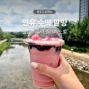 리치타워2 | 컴포즈 여름 신상 연유수박팥빙 솔직후기 논산에서온수박주스 가격 칼로리