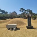 표운여정: 초·추草秋의 아름다운 우정 이미지