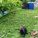 시조카센타 이미지