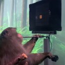 미래영상비디오 이미지