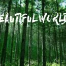 편백세상 이미지