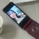 알파미용재료 | 네버엔딩 (12.21~12.31)