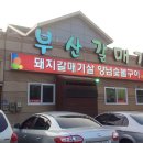 부산갈매기주