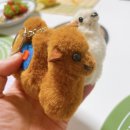 전진만 챔피언 복싱클럽 이미지