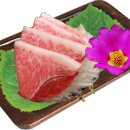 참치어화 Daum카페