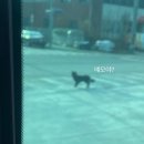 인동중학교 | 오상고life