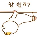 메디앤컬필라테스양산물금점