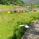 수안보면사무소 이미지