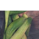 명화로 배우는 미술사 이미지