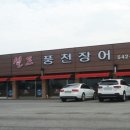 셀프장어